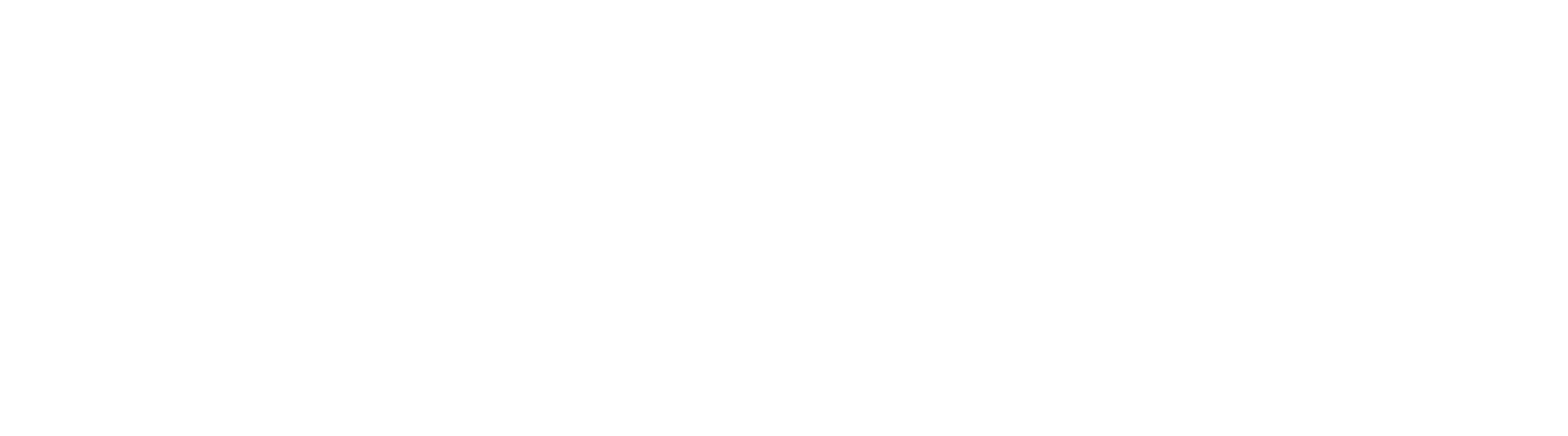 Cyber Intelligence College
